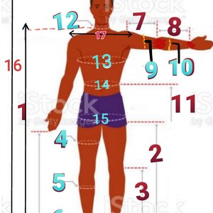May include: Diagram of a person with red and blue numbers indicating measurements. Blue numbers represent circumference, red numbers represent lengths. The numbers are 1, 2, 3, 4, 5, 6, 7, 8, 9, 10, 11, 12, 13, 14, 15, 16, and 17.