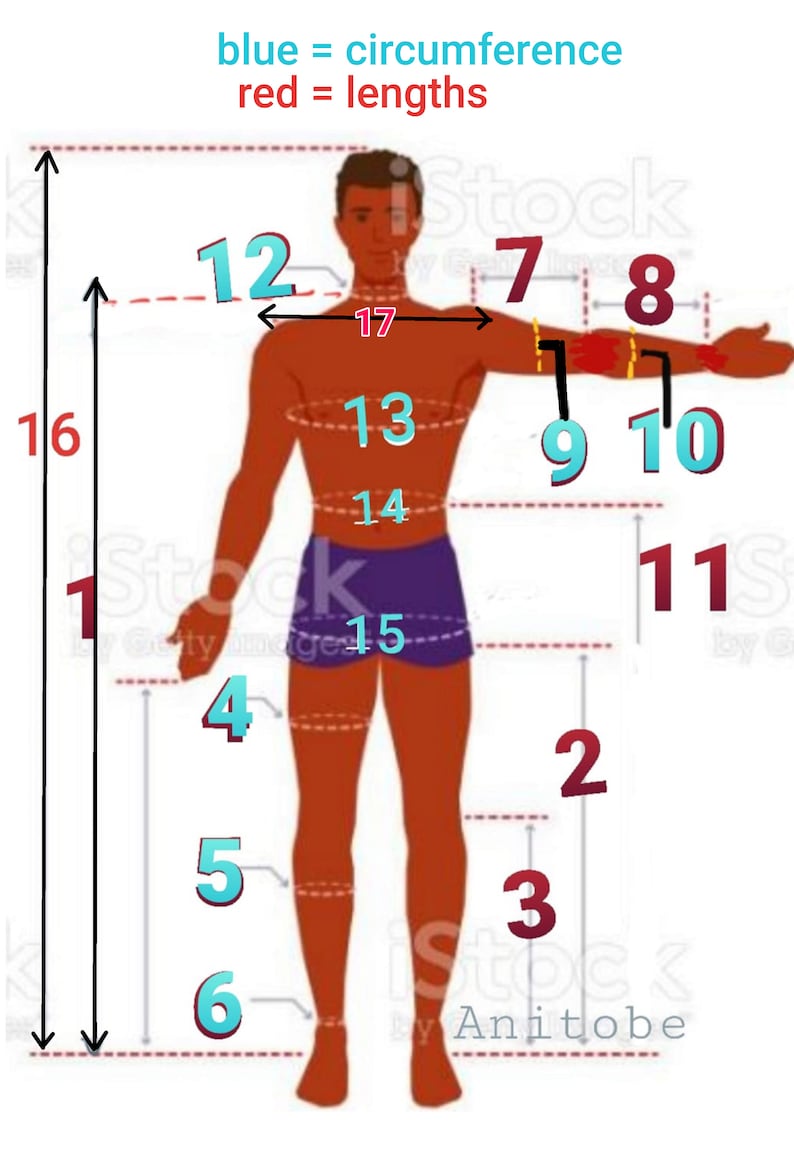 May include: Diagram of a person with red and blue numbers indicating measurements. Blue numbers represent circumference, red numbers represent lengths. The numbers are 1, 2, 3, 4, 5, 6, 7, 8, 9, 10, 11, 12, 13, 14, 15, 16, and 17.
