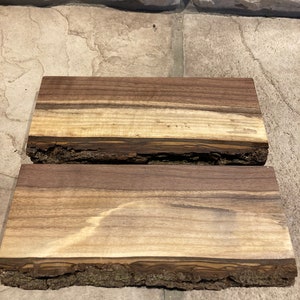 BLACK WALNUT BONANZA, Live Edge Floating Shelf Shelves, 10 to 24 inch Lengths Available, From Reclaimed Wood, Unique, Sustainable, Rustic, 8x4 1/2x1