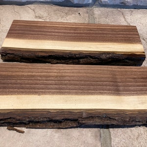 BLACK WALNUT BONANZA, Live Edge Floating Shelf Shelves, 10 to 24 inch Lengths Available, From Reclaimed Wood, Unique, Sustainable, Rustic, image 3