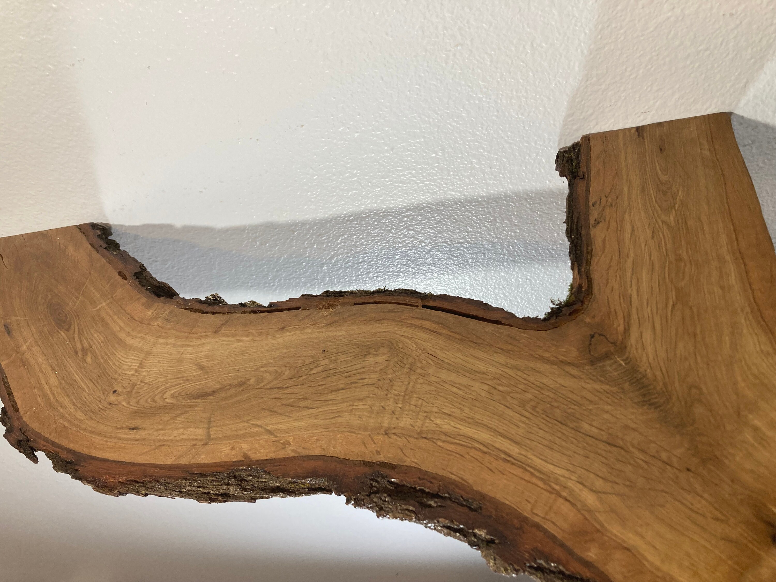 Live Edge Floating Shelf 22x5x12 Crooked Creek Swamp White Etsy