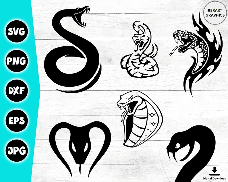 May include: A set of six black and white snake silhouette illustrations. The snakes are in various poses, including coiled, striking, and with their mouths open. The illustrations are perfect for use in a variety of projects, such as t-shirts, mugs, stickers, and more.