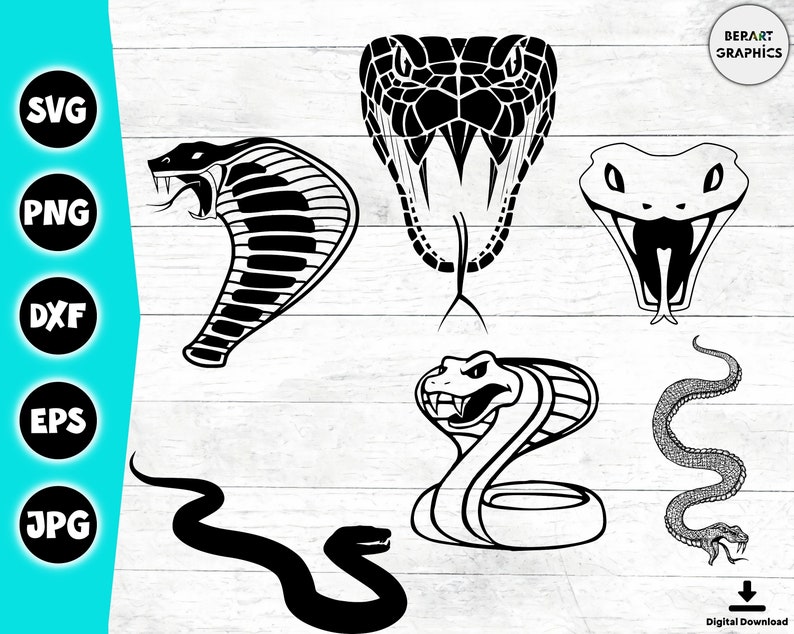 Snake SVG Bundle: Cobra, Python Vector Clipart (30 pcs, Instant Download) image 4