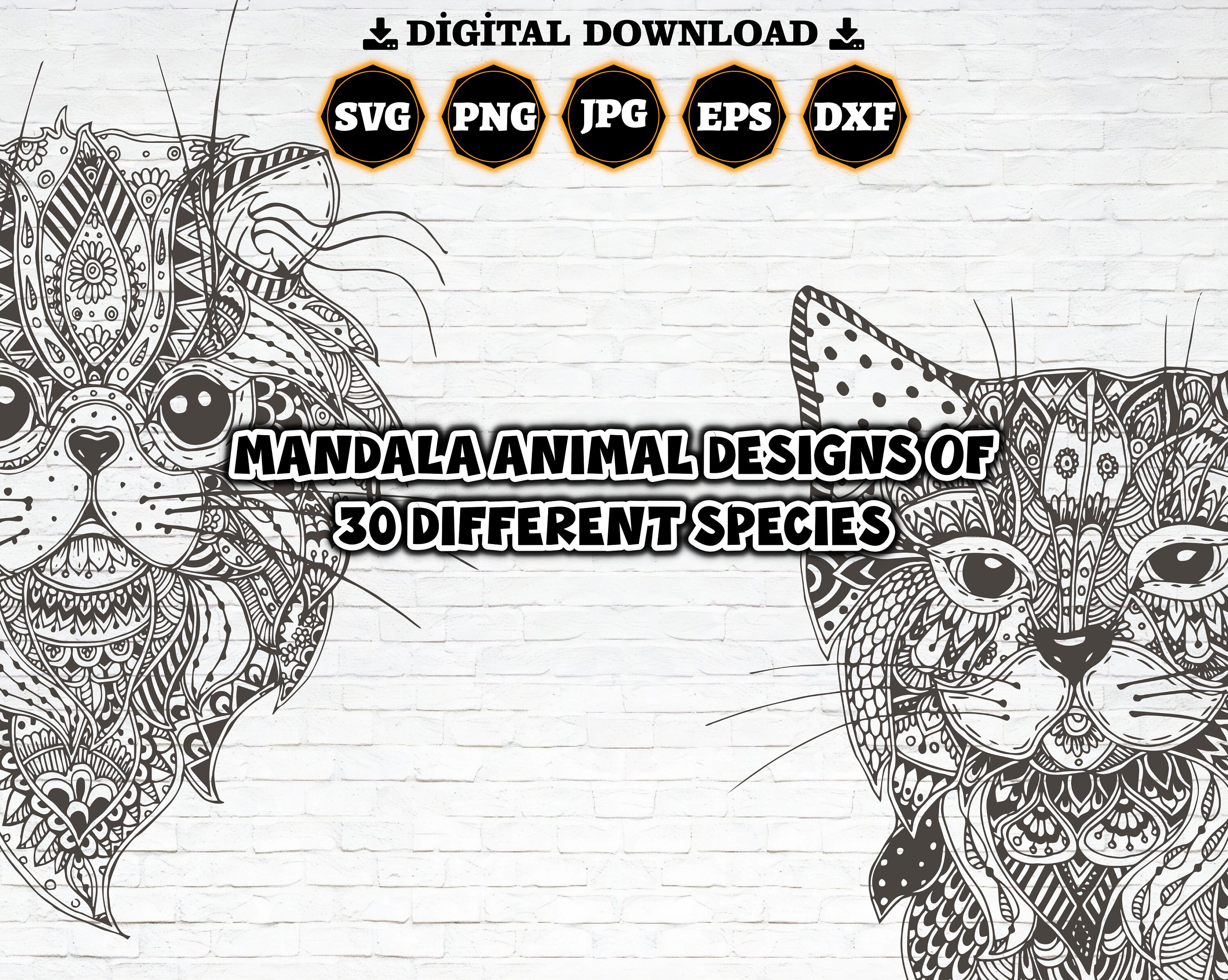 Animal mandala svg bundle animal mandala set of 30 svg etsy
