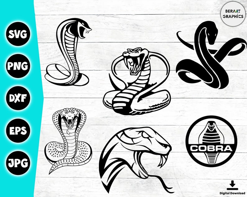 Snake SVG Bundle: Cobra, Python Vector Clipart (30 pcs, Instant Download) image 3