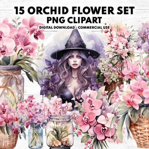 15 watercolor pastel Flowers PNG, Watercolor Floral Clipart Bouquets, Elements, Orchid png, Commercial Use, Digital clipart PNG
