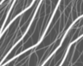 Black and white marble veins