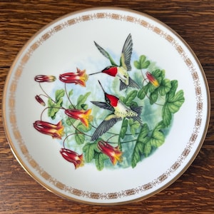 May include: A white decorative plate with a gold rim featuring a detailed illustration of two hummingbirds in flight, feeding on red and yellow flowers. The plate has a floral and leaf design in the background.