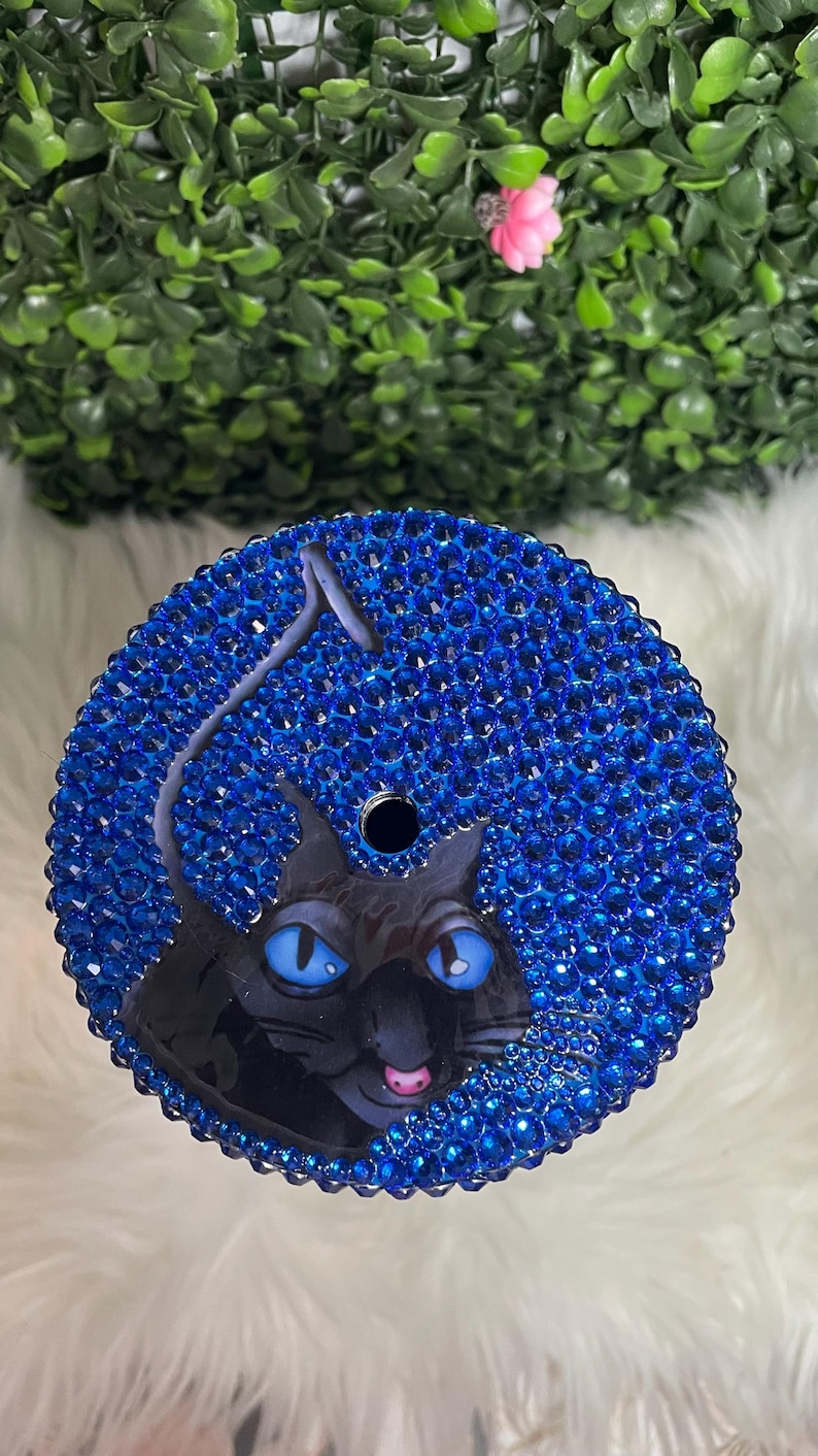 May include: A round, flat, decorative piece featuring a blue and black cat face with blue rhinestones.