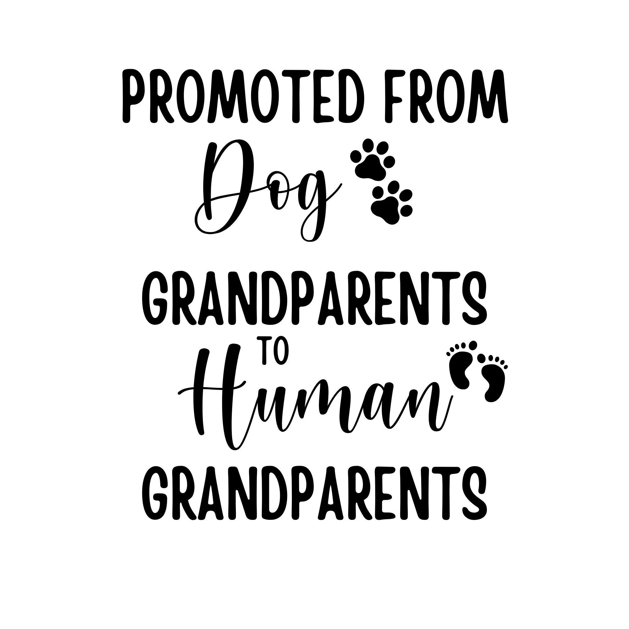 Unveiling The Mystery: The Product Duke The Dog Has Promoted Since 1995 - ch4cgta