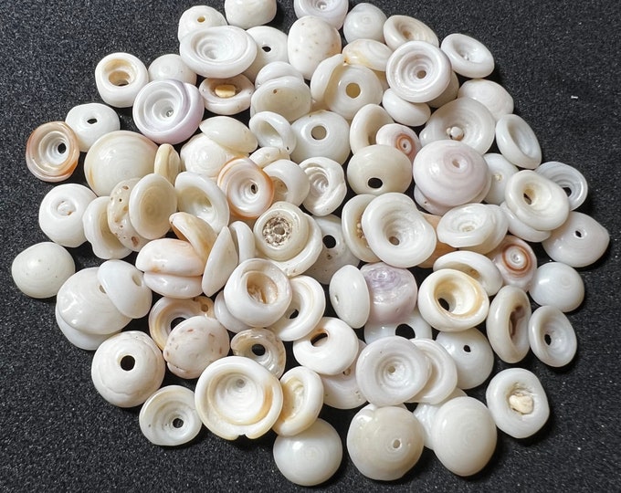 Hawaiian 100pc Authentic .5cm/1cm Puka Shell Lot Handpicked Makaha ...