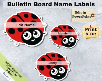 Ladybug Name Tags: Editable Classroom Decor (PowerPoint, Digital Download)