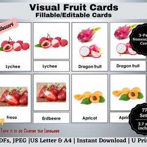 Frutta Flashcards stampabili, modificabili Nomenclatura Montessori Carte in 3 parti, Bisogni speciali con immagini reali, Studenti visivi, Scuola materna