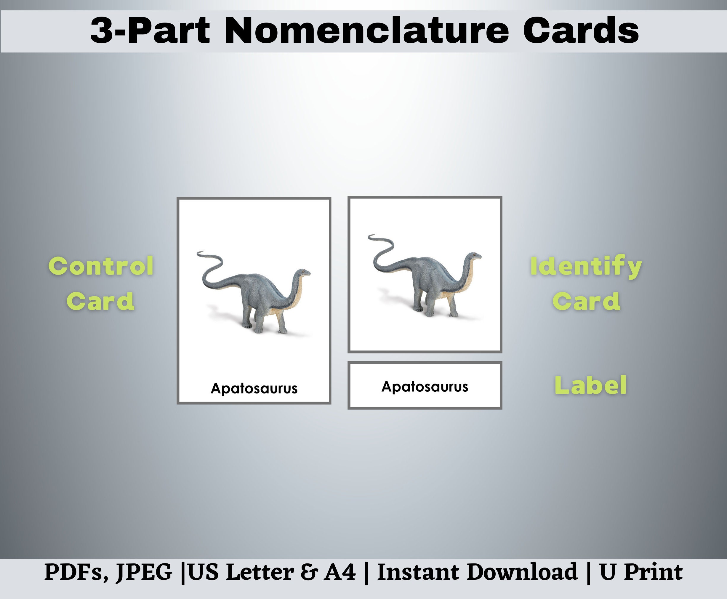 Dinosaurs Flashcards Printable, Editable Montessori Nomenclature 3-part ...
