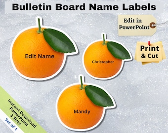 Orange Name Tags: Editable Classroom Decor (PowerPoint, Digital Download)