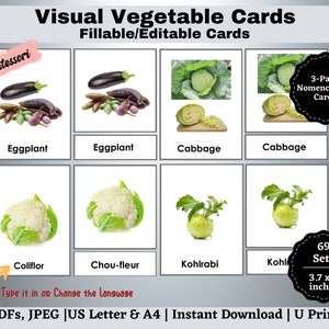 Vegetable Flashcards Printable, Editable Montessori Nomenclature 3-Part Cards, Special Needs with Real Pictures, Visual Learners, Preschool