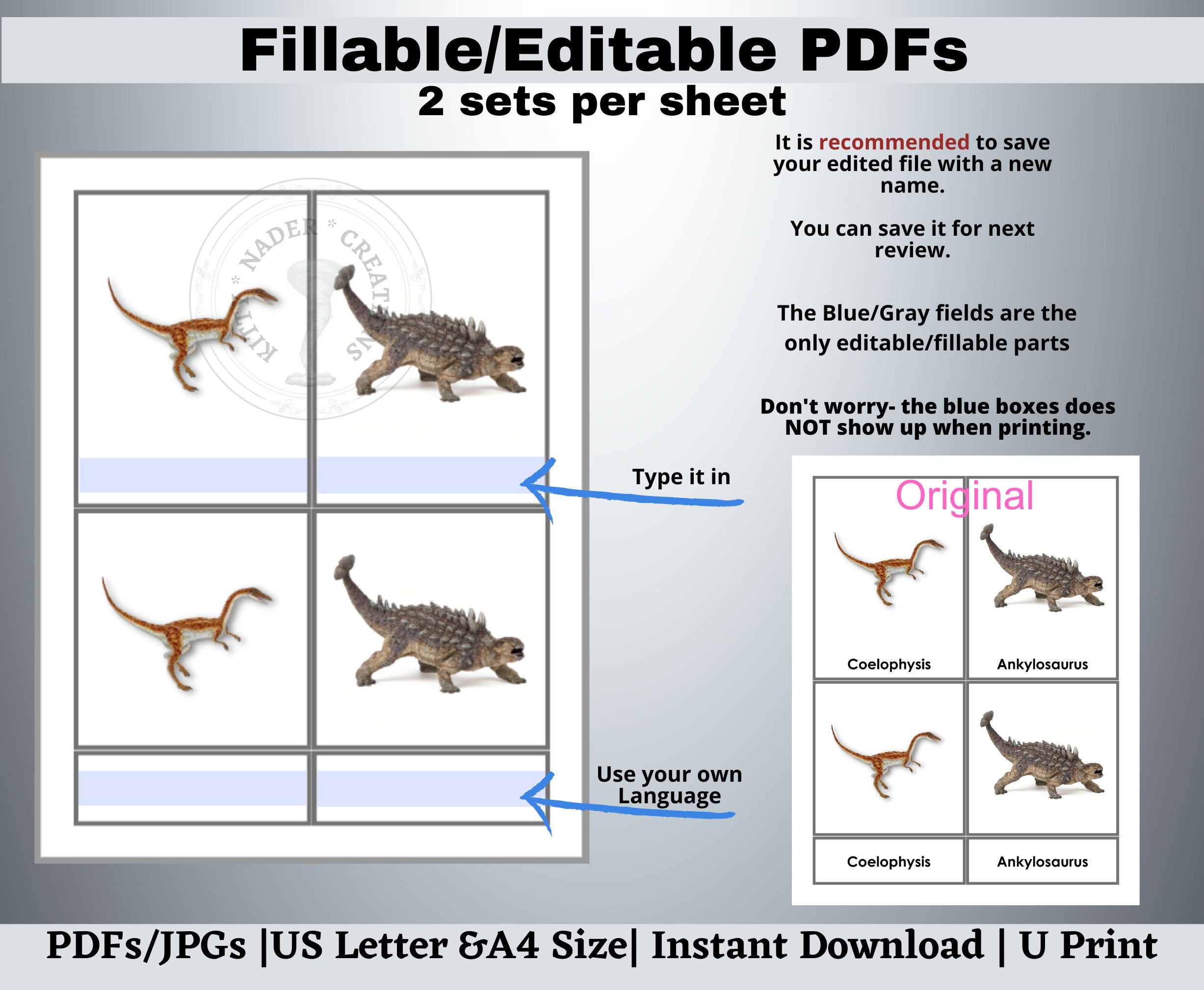 Dinosaurs Flashcards Printable, Editable Montessori Nomenclature 3-part ...