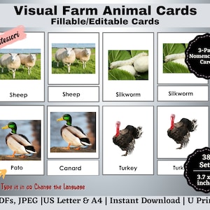 Farm Animals Flashcards Printable, Editable Montessori Nomenclature 3-Part Cards with Real Pictures, Visual Learners, Preschool