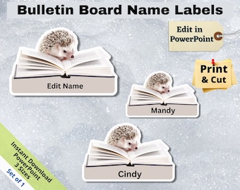 Hedgehog Reading Name Tags: Classroom Decor (Printable, Editable)