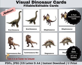 Dinosaur Flashcards: Montessori 3-Part Cards with Real Pictures (Printable Editable)