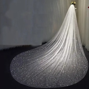 Sparkly veil, Shimmering veil, cathedral sparkly veil, bridal sparkly veil