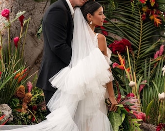 Veil ruffles and blush, two-tiered veil with ruffles along the edge of a veil made of soft tulle, a trend of 2024