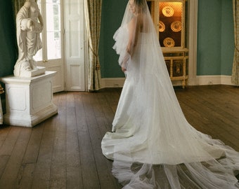 Bridal Veil Ruffles and blush, two-tiered veil with ruffles along the edge of a veil made of soft tulle, a trend of 2024