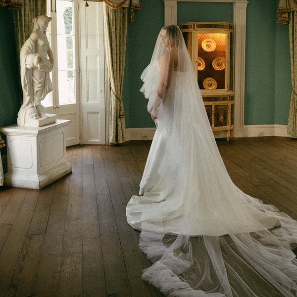 Bridal Veil Ruffles and blush, two-tiered veil with ruffles along the edge of a veil made of soft tulle, a trend of 2024