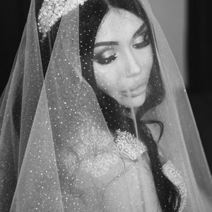 Wedding veil, Sparkly veil, glitter vei,  Shimmering veil, cathedral sparkly veil, bridal sparkly veil
