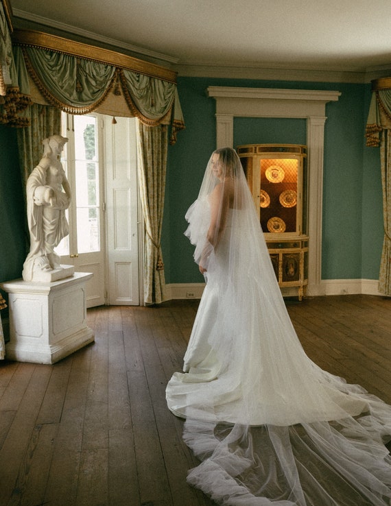 Bridal Veil Ruffles and blush, two-tiered veil with ruffles along the edge of a veil made of soft tulle, a trend of 2024