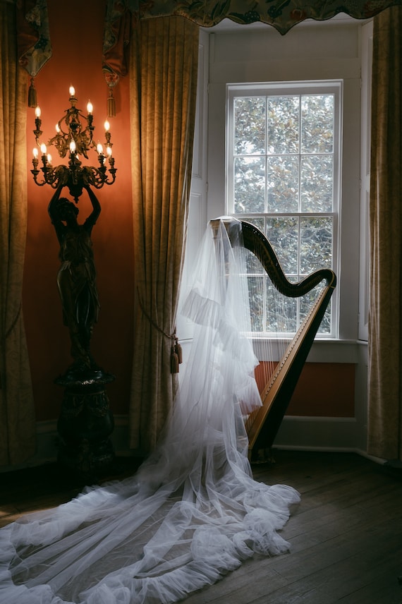 Wedding Veil Ruffles and blush, two-tiered veil with ruffles along the edge of a veil made of soft tulle, a trend of 2024