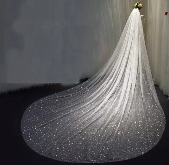 Sparkly veil, Shimmering veil, cathedral sparkly veil, bridal sparkly veil