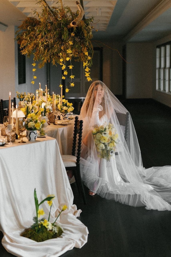Wedding Veil, Veil ruffles and blush, two-tiered veil with ruffles along the edge of a veil made of soft tulle, a trend of 2024