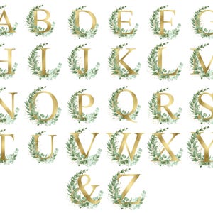 Alfabeto floral, alfabeto floral SVG, alfabeto floral PNG, monograma de letra floral, inicial floral, rosa blanca, alfabeto png, floral png