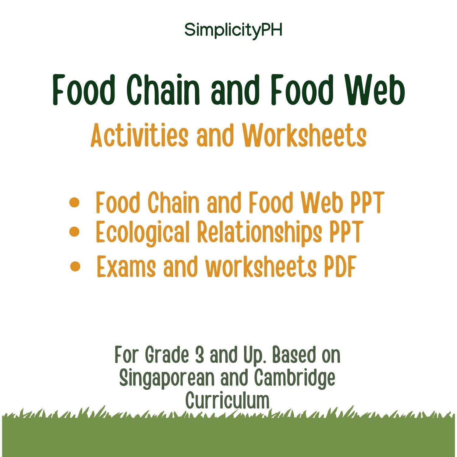 Food Chains And Webs Worksheets