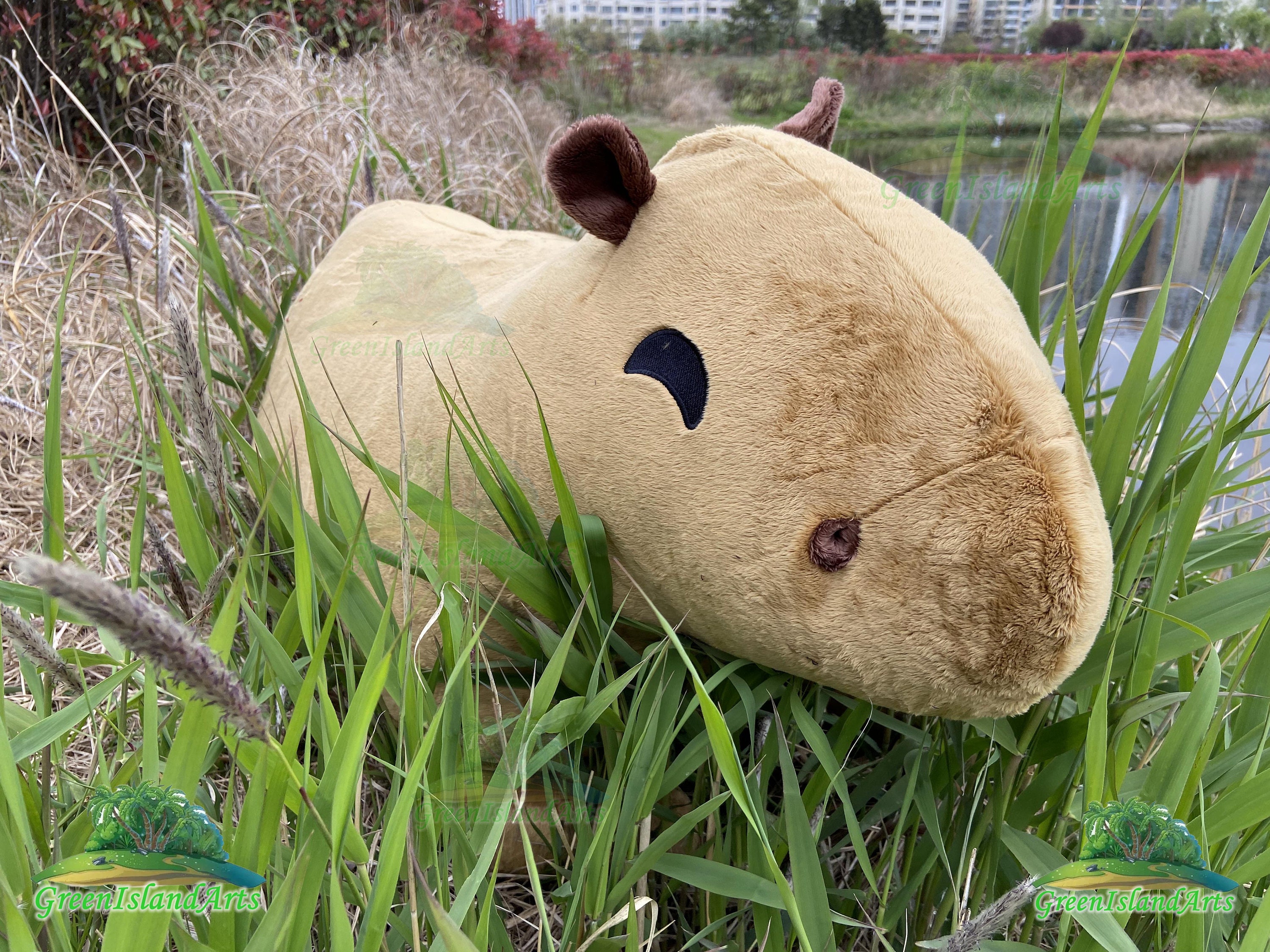 TheFound Capybara poupée en peluche peluche dessin animé Animal