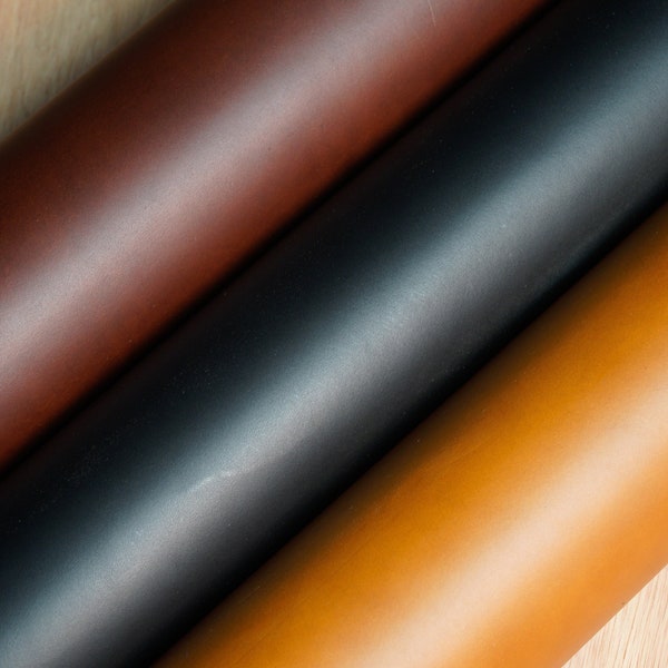 Badalassi Carlo - Minerva