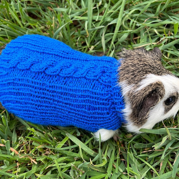 Guinea Pig Sweater "Classic Braids", Hand Knitted Animal Warm Sweater, Handmade Blue Cable Pet Clothes for Puinea Pigs, Small Pet Clothes