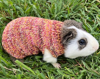 Guinea Pig Sweater 