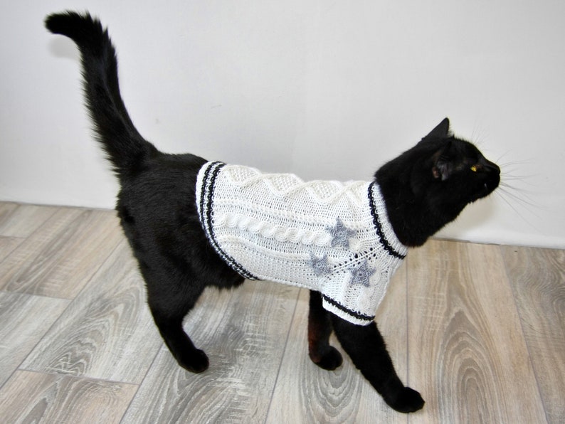 May include: A black cat wearing a white knitted sweater with grey star accents. The sweater has a black and white trim.