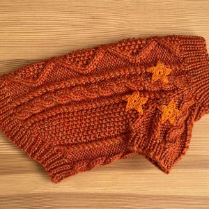 Hand Knitted Cat Sweater "Folklore", Taylor Cat Cardigan, Handmade Wool Cable Knit Jumper for Small Dog, Pet Clothes for Kitten or Puppy Showgirl orange ver.