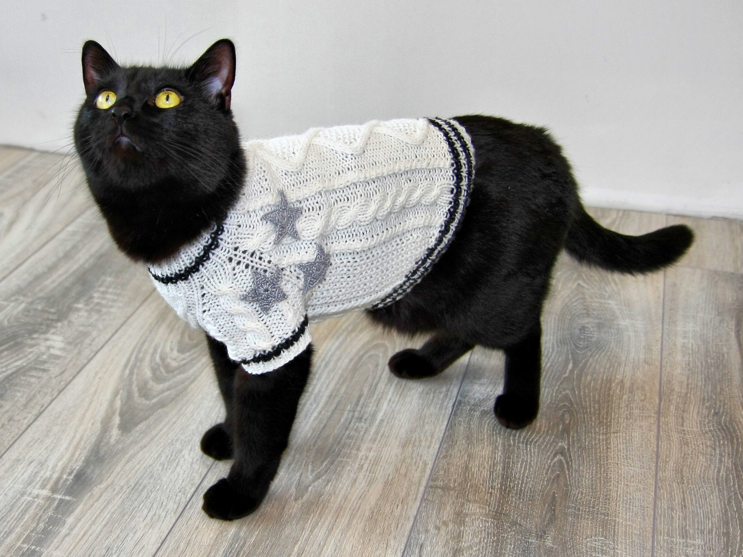 Hand Knitted Cat Sweater "Folklore", Taylor Cat Cardigan, Handmade Wool Cable Knit Jumper for Small Dog, Pet Clothes for Kitten or Puppy