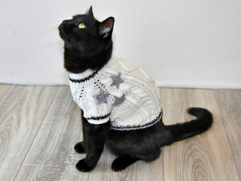 K&ouml;nnte beinhalten: Eine schwarze Katze tr&auml;gt einen wei&szlig;en Strickpullover mit grauen Stern-Akzenten. Der Pullover hat einen schwarzen Saum an Hals und Bund.