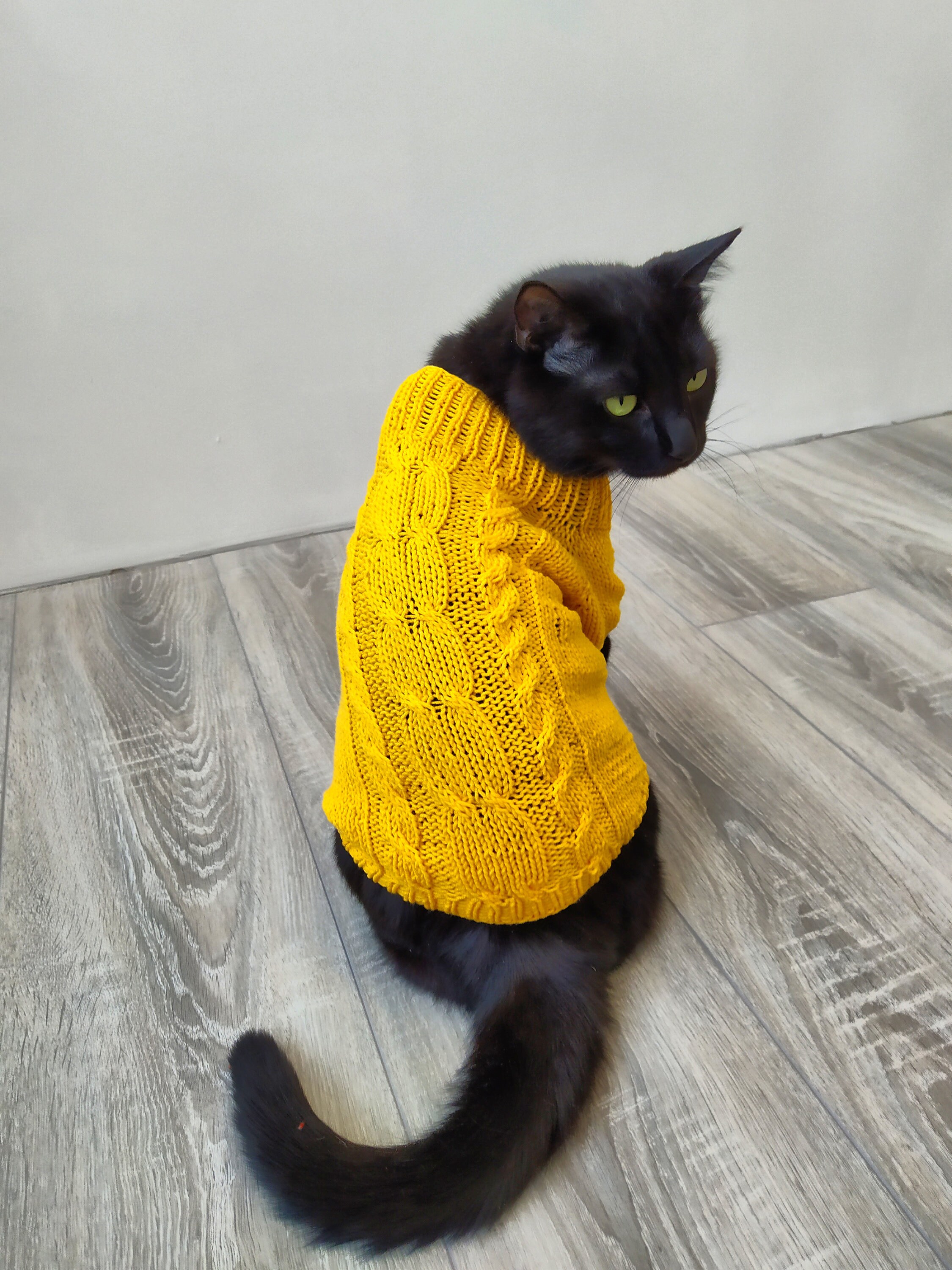 knitting pattern for cat coat