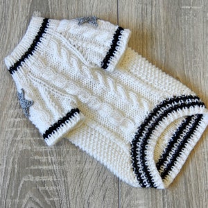 May include: White knitted dog sweater with black stripes and silver star embellishments.