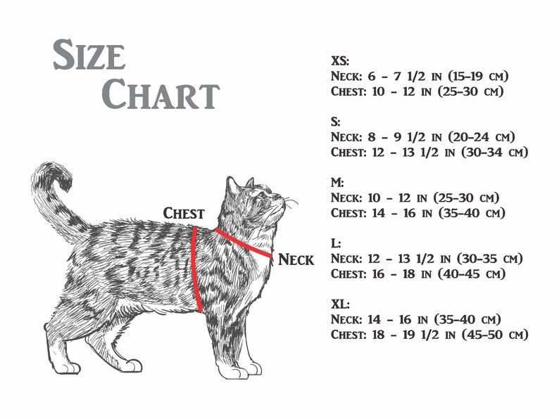 K&ouml;nnte beinhalten: Gr&ouml;&szlig;entabelle f&uuml;r Katzenkleidung mit einer Strichzeichnung einer Katze, die zeigt, wo Hals und Brust gemessen werden. Die Tabelle enth&auml;lt Ma&szlig;e in Zoll und Zentimetern f&uuml;r die Gr&ouml;&szlig;en XS, S, M, L und XL.