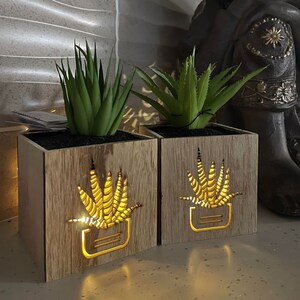 Puede incluir: Dos macetas de madera con bombillas en su interior, cada una con un diseño recortado de una planta suculenta. Las cajas están iluminadas desde el interior, proyectando un brillo cálido.