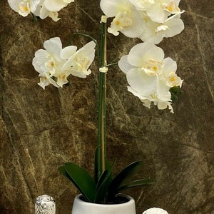 May include: White orchid plant in a white ceramic pot with a silver oil diffuser and a white ceramic Buddha head diffuser on a light brown surface. The text "LUXURYHOME" is visible on the surface.