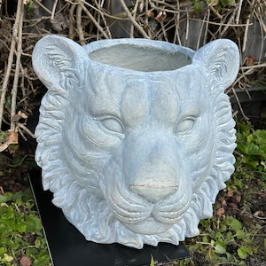 May include: A light blue ceramic planter shaped like a tiger's head. The planter has a textured surface and a wide opening at the top for planting.