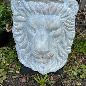 May include: A grey concrete lion head planter with a distressed finish. The planter is sitting on a black base and is surrounded by green plants.
